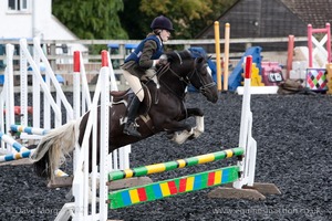 Class 3 -  Fences not above 2'3